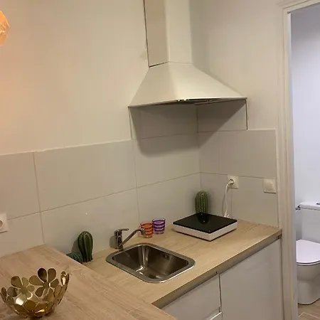 Daire Les Fougeres Jardin Cannes