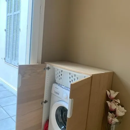 Les Fougeres Jardin Daire *