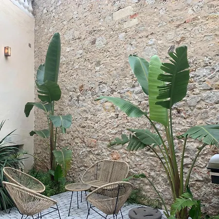 Les Fougeres Jardin Cannes